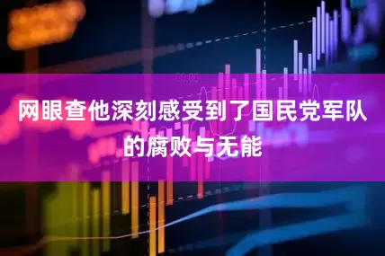 网眼查他深刻感受到了国民党军队的腐败与无能