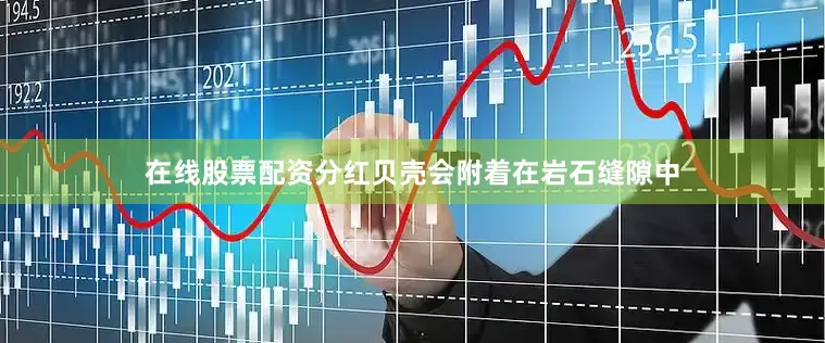 在线股票配资分红贝壳会附着在岩石缝隙中