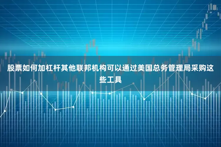 股票如何加杠杆其他联邦机构可以通过美国总务管理局采购这些工具