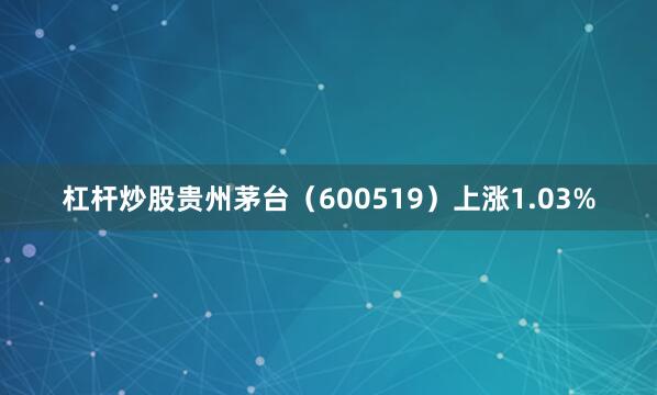 杠杆炒股贵州茅台（600519）上涨1.03%