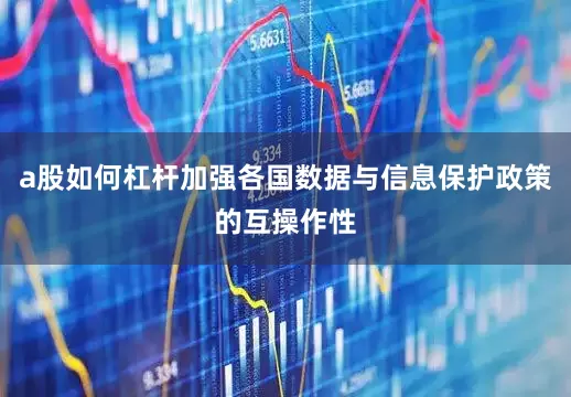 a股如何杠杆加强各国数据与信息保护政策的互操作性