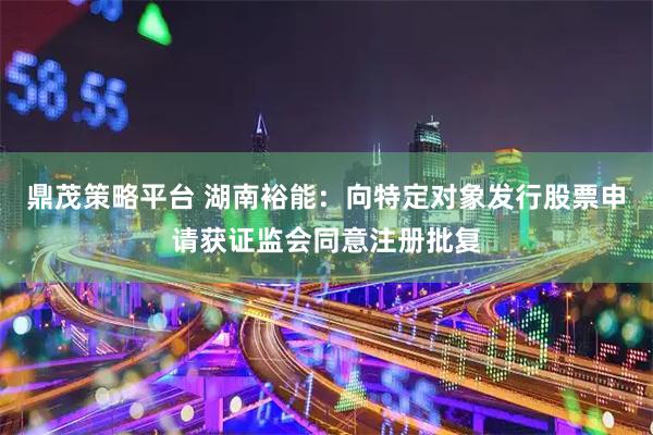 鼎茂策略平台 湖南裕能：向特定对象发行股票申请获证监会同意注册批复